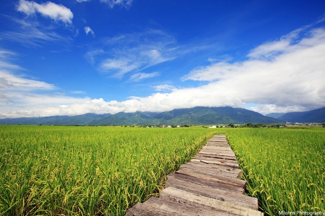 14286446007_bcbc48e3c0_o