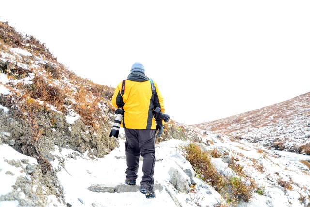 1492401_10152049323967607_444185728031847698_o