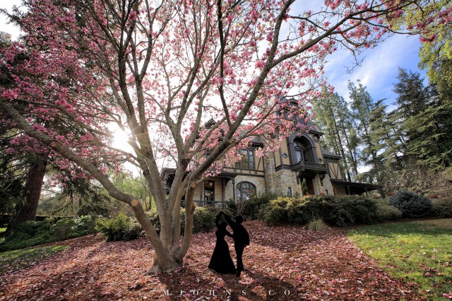 海外婚紗 美國婚紗 舊金山婚紗 舊金山婚禮 灣區婚紗 灣區婚禮 市政廳證婚 美國台灣攝影師