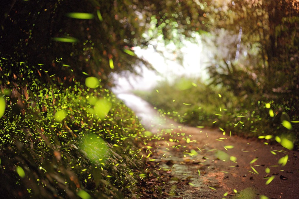 13892860379_542744f9ed_o